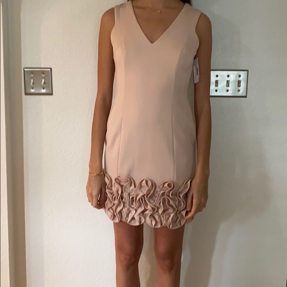 blush dress